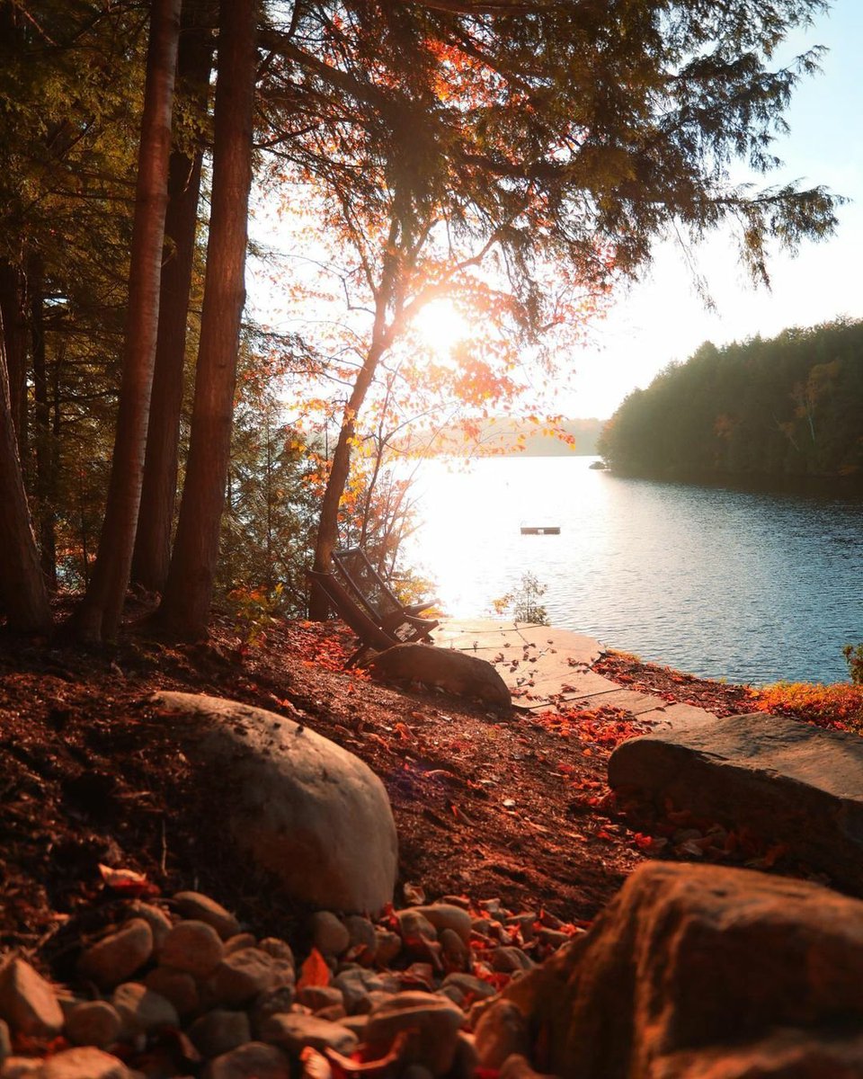 CottageFitters's tweet photo. Happy SUNday everyone ๐๐ Enjoy the beautiful day cottagers!
๐ท @thepointonril
#cottage #cottagelife #cottagecountry #cottagestyle #cabin #lakehouse #lakelife #muskoka #muskokalife #muskokaliving #muskokalakes #rillake #sunsout #docklife #dockside #muskokachair #northernontario https://t.co/UOjHe5d24O