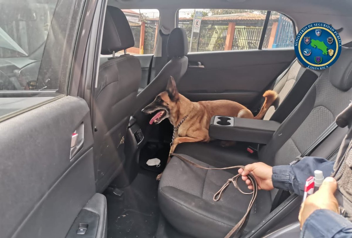 fuerzapublicaCR's tweet photo. En un trabajo realizado por la #FuerzadeTarea de la #FuerzaPúblicaCR de #Alajuelita y la Unidad Canina, se detuvo un vehículo con dos ocupantes de apellidos Rodríguez y Quesada, quienes presuntamente lanzaron dos paquetes con aproximadamente un kilo de marihuana comprimida. https://t.co/TZOxww1tQv