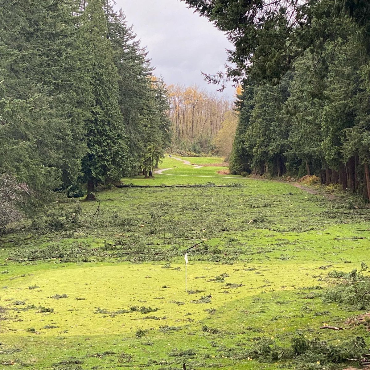 University Golf Club tweet media