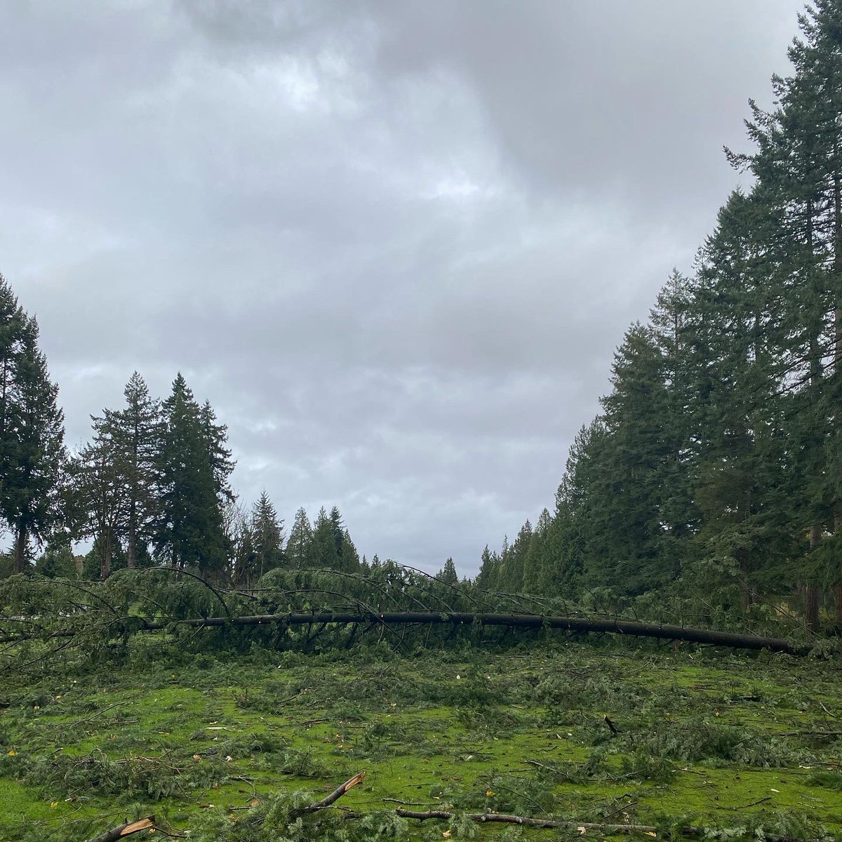 University Golf Club tweet media