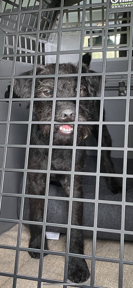 Alex Child tweet media