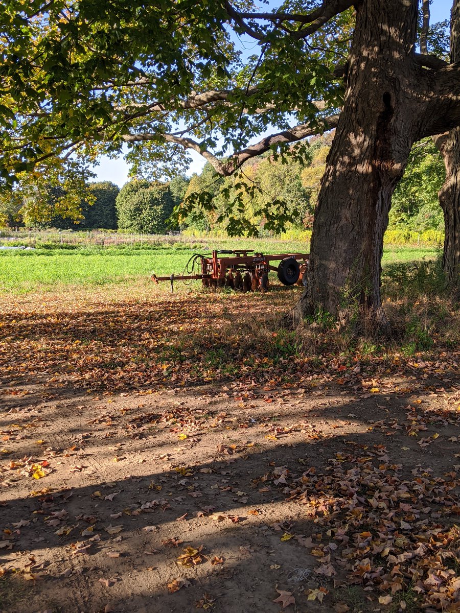 Just to clarify since the clocks were wound back today, the Pumpkin Smash is running today from 1pm to 4pm. Remember to bring your pumpkins to New Entry at the Moraine Farm! #composting #pumpkinsmash