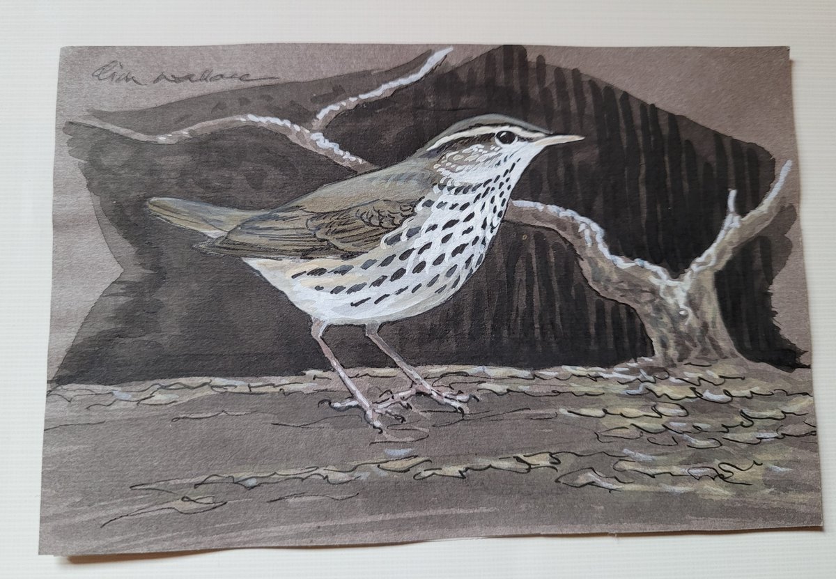 ELBF2010's tweet photo. I know that my friendship with DIM Wallace was tenuous but his influence on my ornithological awakening, art and undoubtedly career is immeasurable and despite being on the periphery of his life, I will miss him. #DIMW 
https://t.co/heWzH66nFJ https://t.co/Os68iJajiy