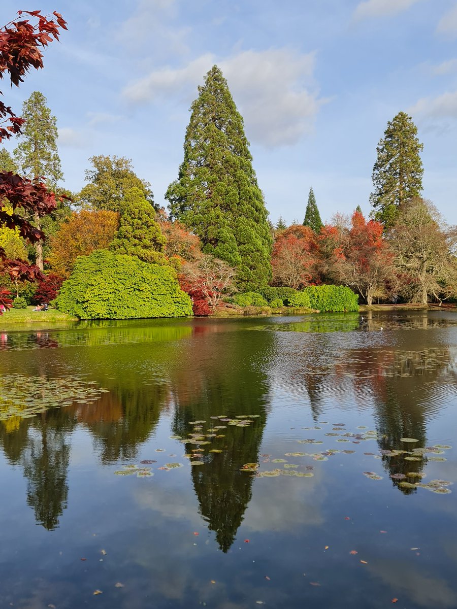 pmhiggins's tweet photo. A bit late in the season but always spectacular at Sheffield Park Gardens #sheffieldparkNT #nationaltrust #Autumn https://t.co/KbDXbEhghZ