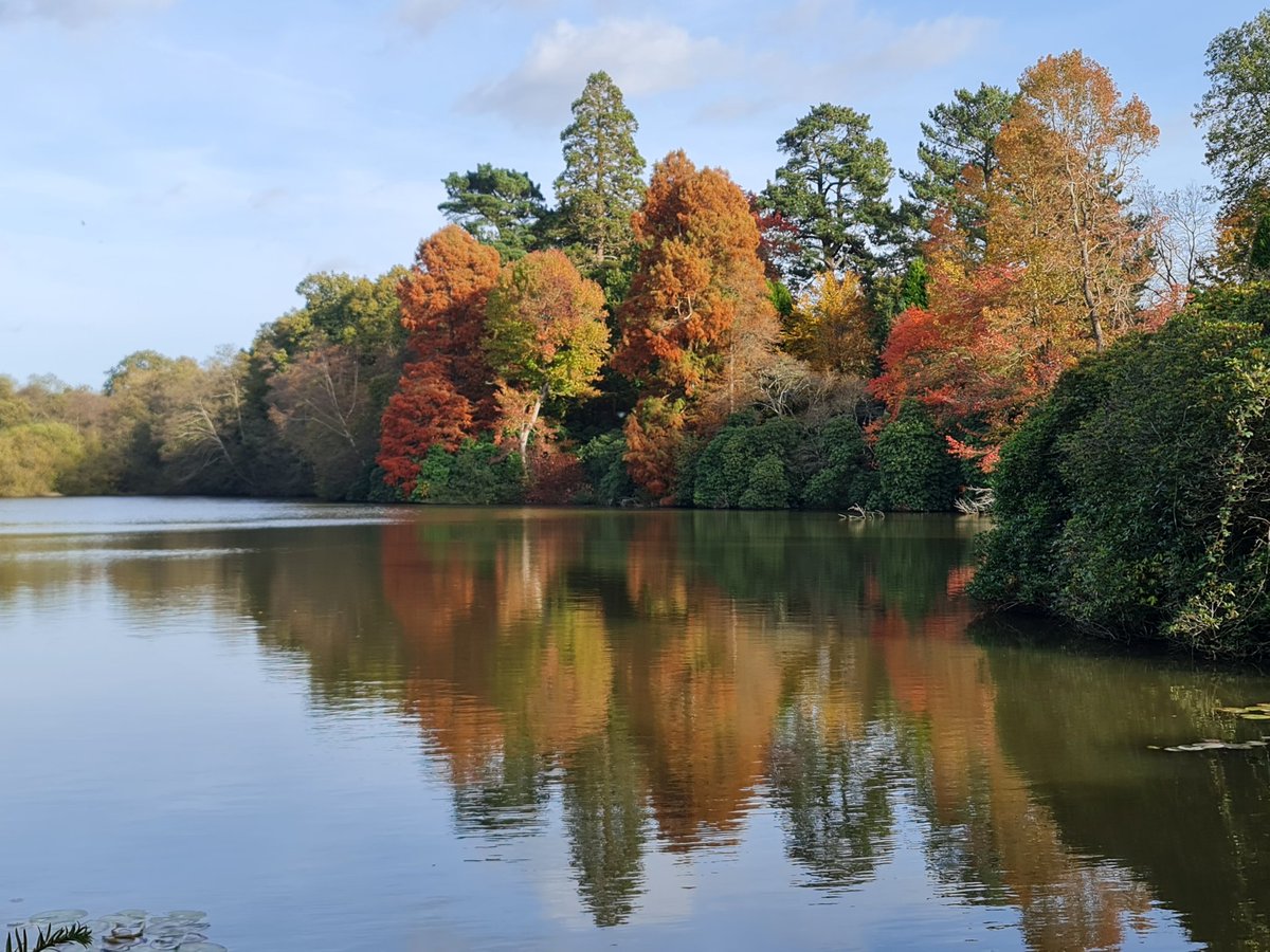 pmhiggins's tweet photo. A bit late in the season but always spectacular at Sheffield Park Gardens #sheffieldparkNT #nationaltrust #Autumn https://t.co/KbDXbEhghZ