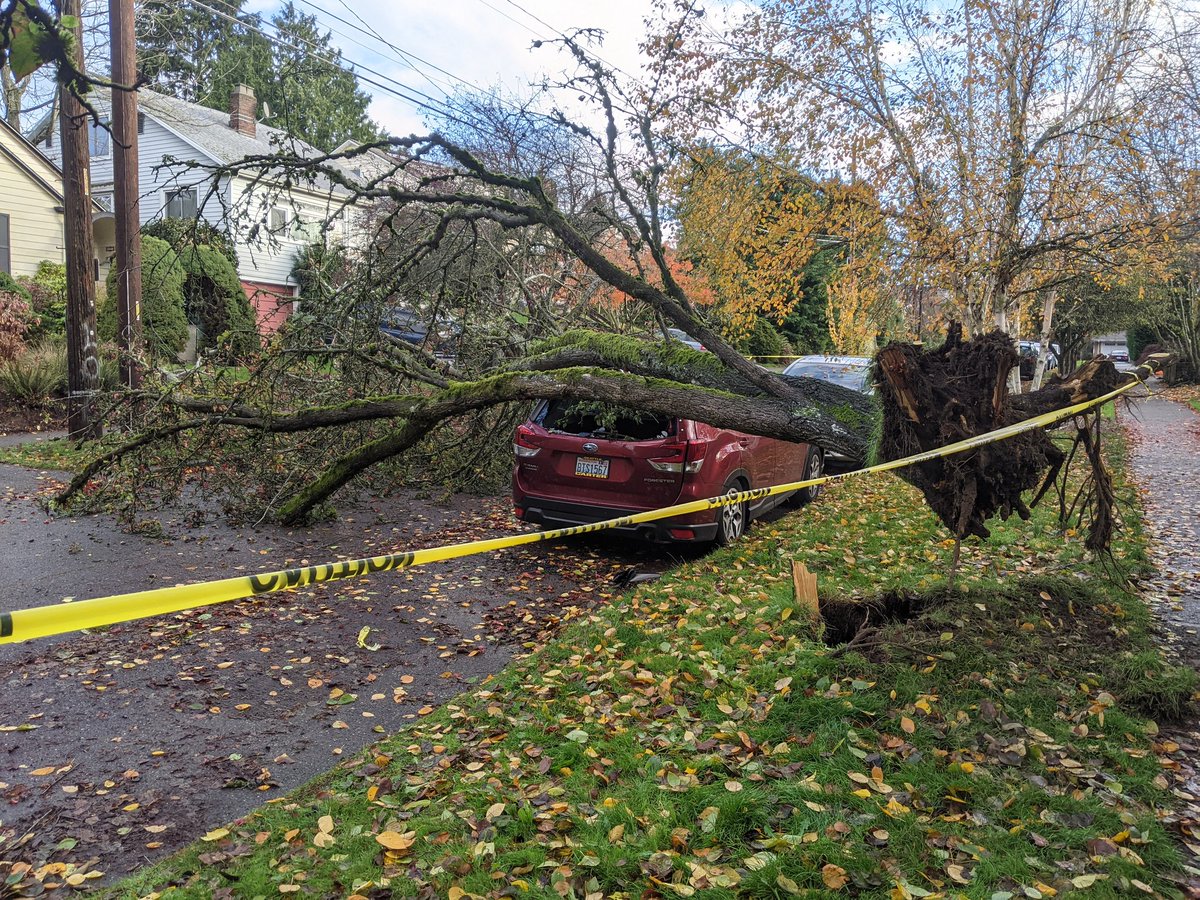 dschofield's tweet photo. @Roosiehood tree down on 69th, between 12th&amp;15th, SDOT attending. https://t.co/KLQxez1BHV