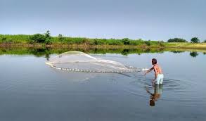 FeedWale's tweet photo. Is It really Good To Check Pond Water Regularly?
More Info On https://t.co/bfb8mhUiFG https://t.co/jVi1LaxayN