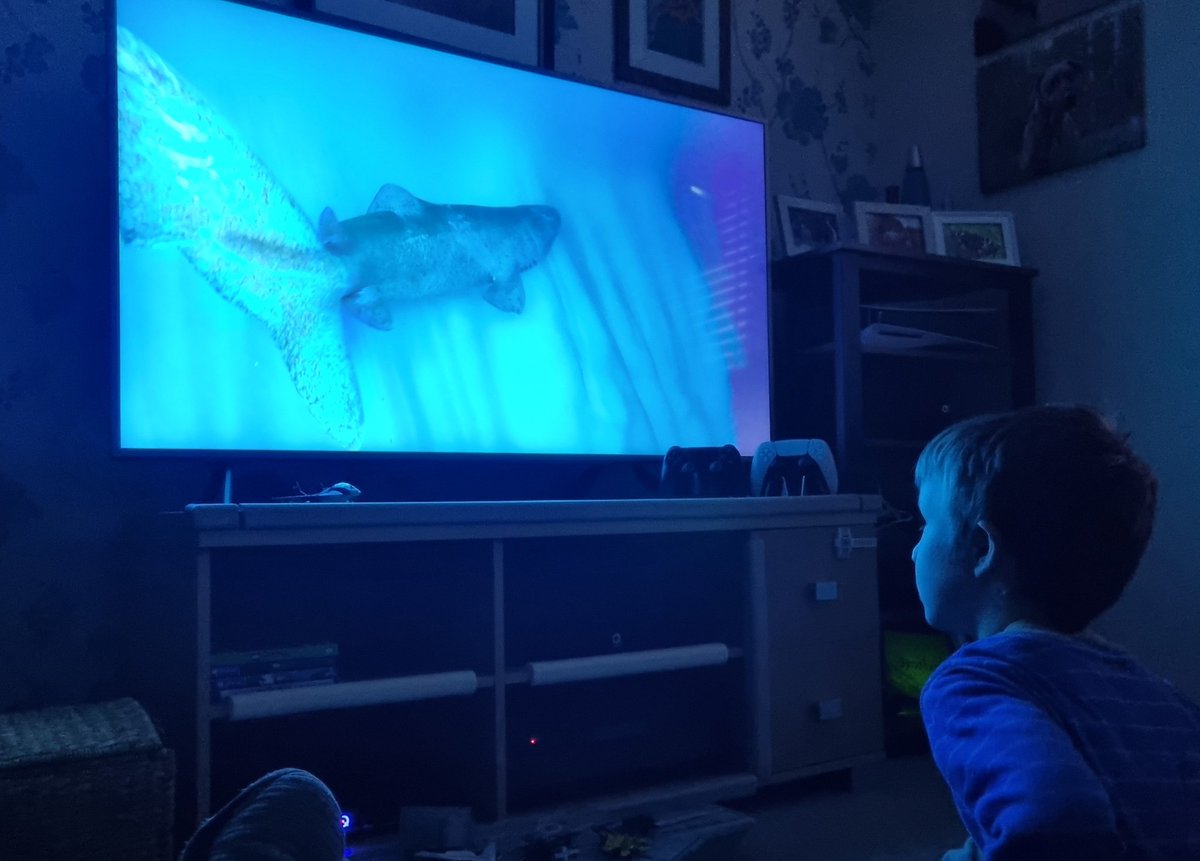 jenny_anglesey's tweet photo. Enthralled by @SteveBackshall #Sharks we have a budding vet and a budding biologist in the house thanks to programmes like this https://t.co/GfNr4hmiiV
