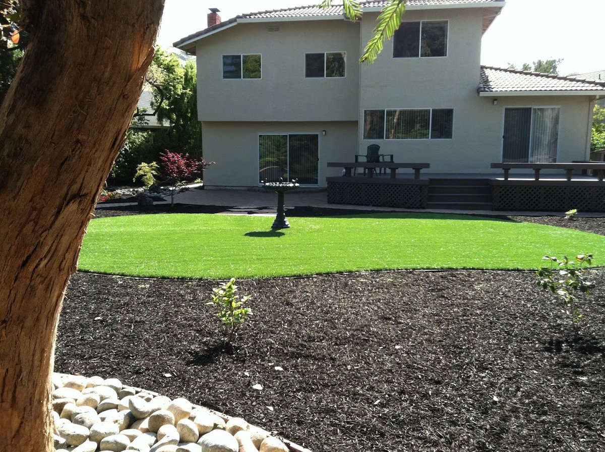 ArborTech1's tweet image. Trying to get rid of a tree stump or hazardous tree? ArborTech Tree Care is here to help! arbortech1.net #TreePestControl #PestControlHayward #LandscapeConstructionRedwoodCity