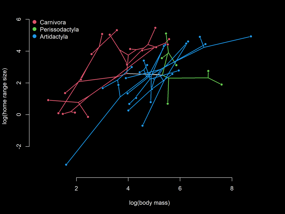 phytools_liam's tweet photo. Plotting different orders or other taxonomic groups using different colors in a phylomorphospace projection with #Rstats #phytools: https://t.co/G0nOBRRpcG. https://t.co/M0lwJsx5iP
