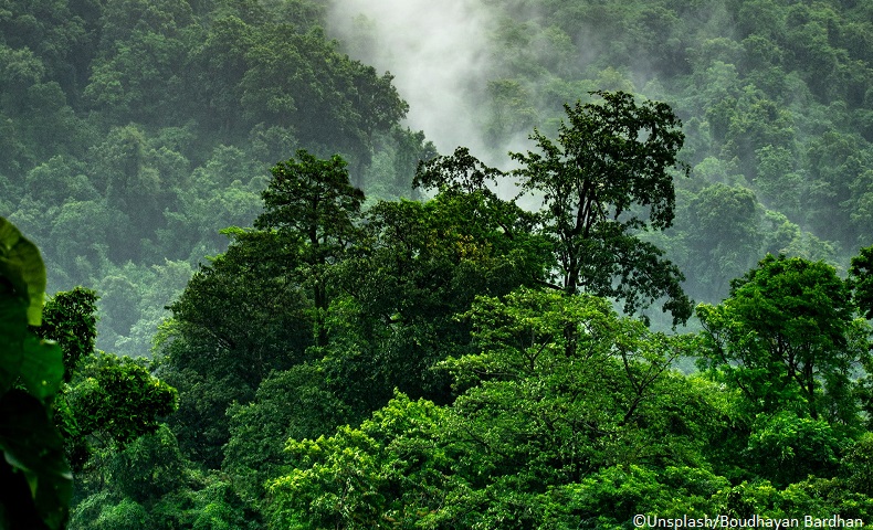"We must induce transformation that puts nature and people at the heart of the design of our products, services and systems. Forests and trees will be an essential component of a sustainable bioeconomy if we are to stay within 1.5 degrees." <a href="/FAO/">Food and Agriculture Organization</a>'s Lyndall Bull at #GLFClimate