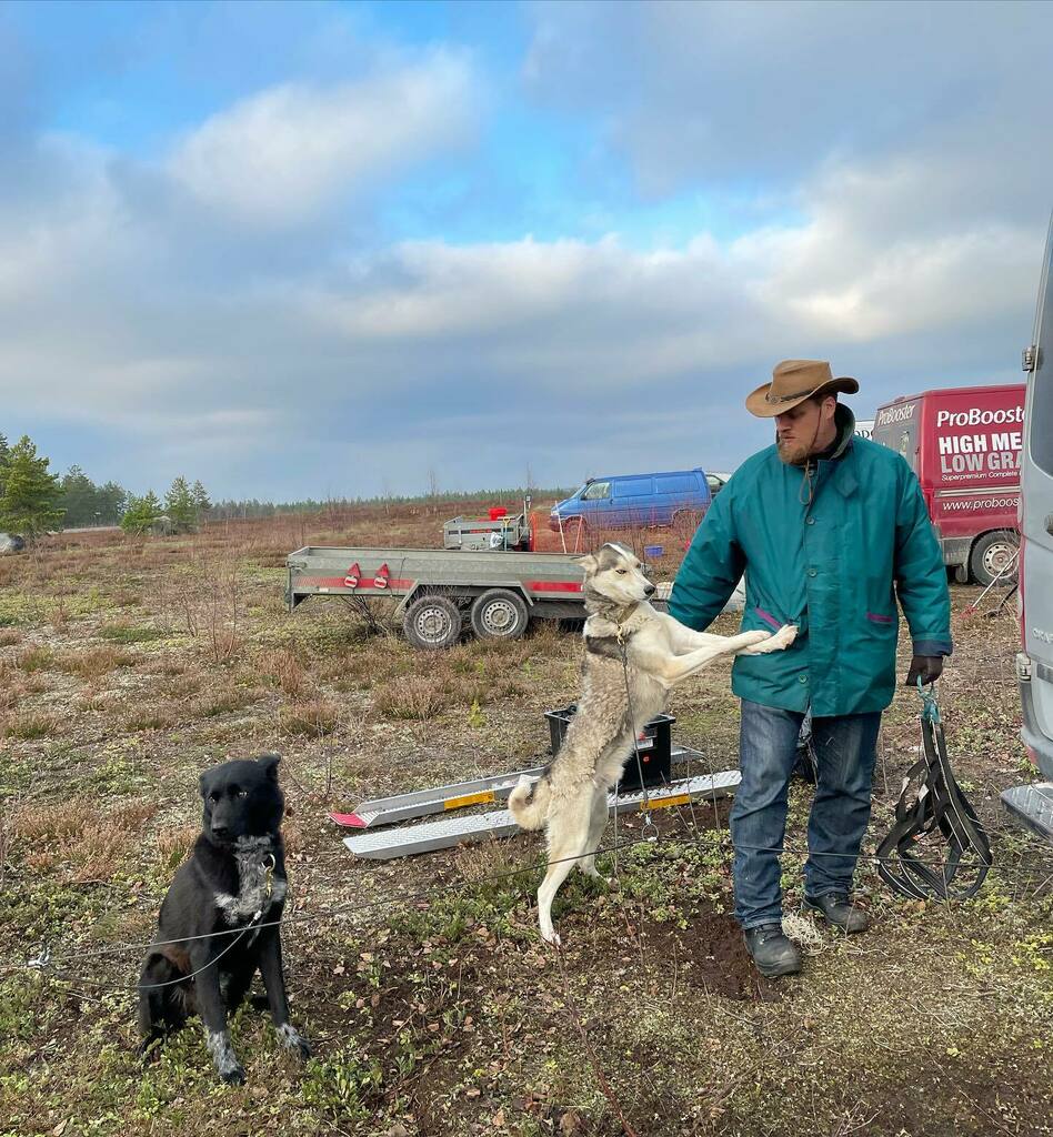 TrailwindsHusky's tweet photo. Jukkis’s style has gotten some attention so we just have to make our first ever fashion influencer post!😃

Jukkis is wearing a stetson, as you can see. But why? It’s a very functional headwere 3/4 of the year here in the southern Finland. It’s a high quality item from a bran… https://t.co/KsRM2iy8qM