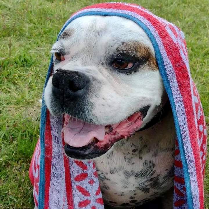 El Campito Refugio tweet media