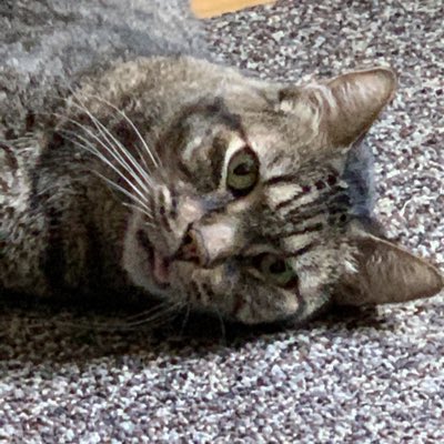 PhillyIll33's tweet photo. #NewProfilePic https://t.co/lGzB02mQYD