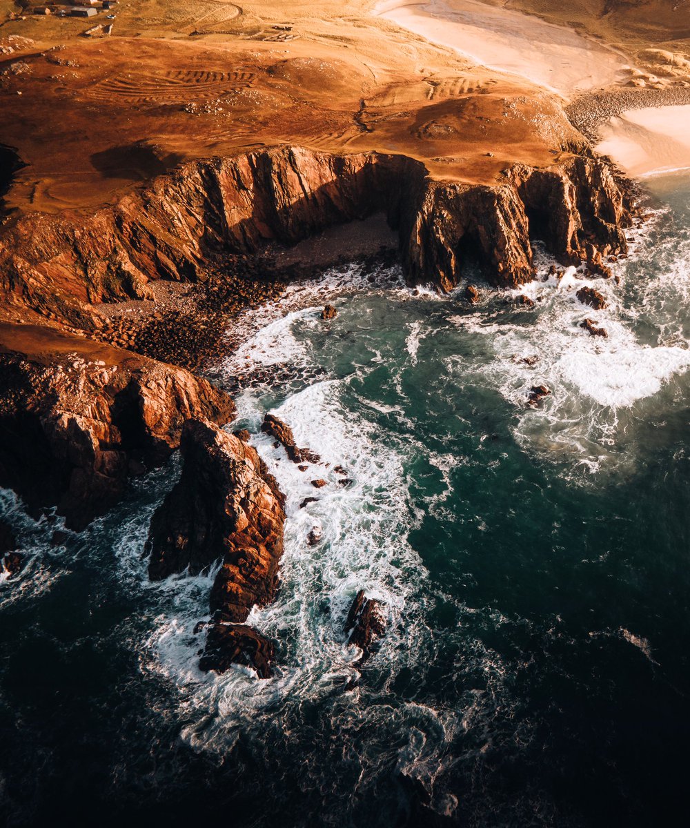 Billelis tweet media