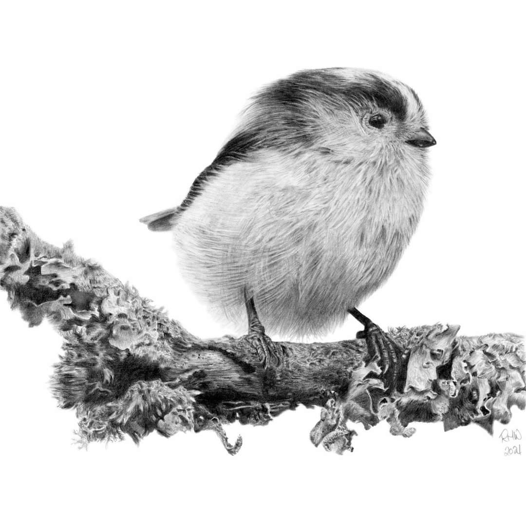 Ruth Walker Art & Photography 💙 tweet media