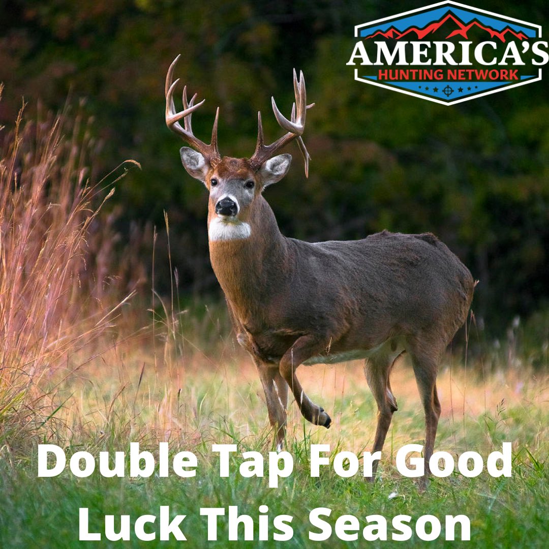 team_ahn's tweet photo. Double tap for good luck this season!
Check out our outfitters on https://t.co/Zyp9hQLXEE! ⬅️
✅ Hunting giveaways!
✅ Hunting Guides
✅ Outfitters
✅ Hundreds of options
✅ Be the Hunter you're meant to be
#americashuntingnetwork #teamahn #hunting #bowhunting #deer https://t.co/OLjGMdnbOf