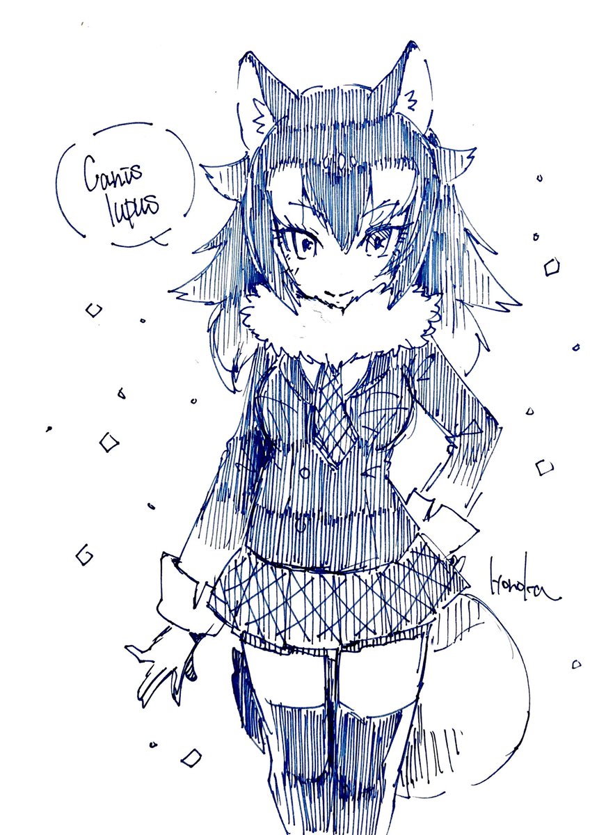 「一匹狼って言葉があるけど結構社交的なのよ?」
#けもフレ
#けものフレンズ 