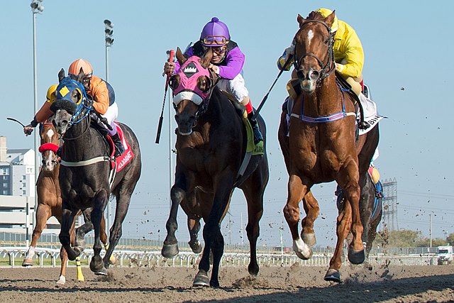 BloodHorse's tweet photo. Pink Lloyd Prevails in Ontario Jockey Club https://t.co/WZyR4Ve9hM https://t.co/7P11DG4xny