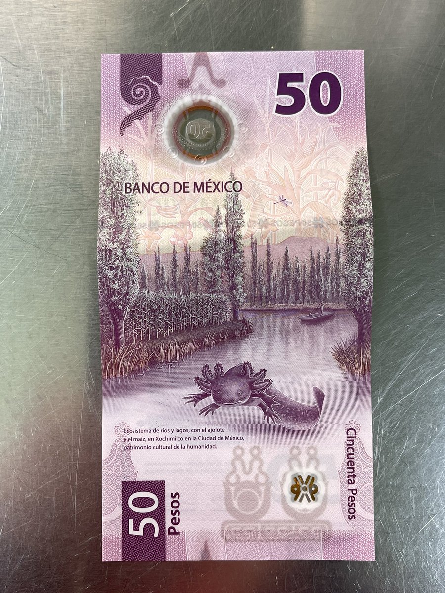 ghostcolour's tweet photo. El ajolote del nuevo billete de 50 really said: 

GÁSTAME EN VICIO https://t.co/1JpmPq3K2n