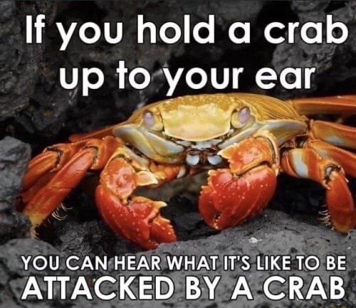 Crab taco... 🦀 🌮