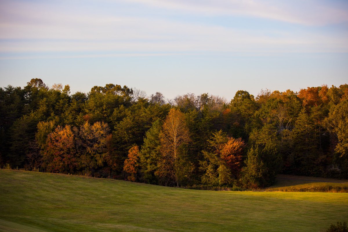cbnphotogmg's tweet photo. Beautiful fall colors. #fallcolors #virginiafall #canonr6 https://t.co/hrrSy81RMo