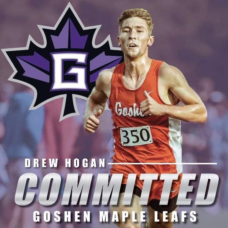 Drew Hogan tweet media