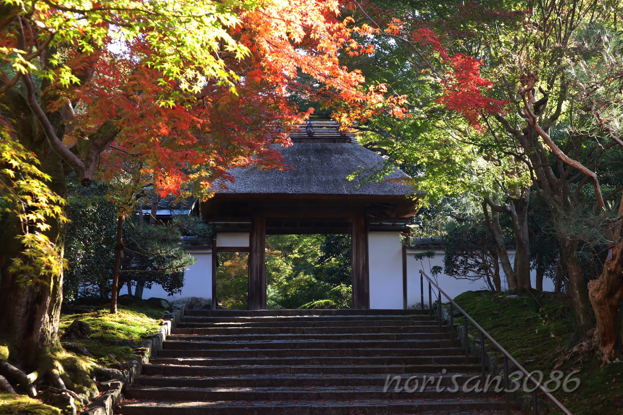 安楽寺 Twitter Search Twitter