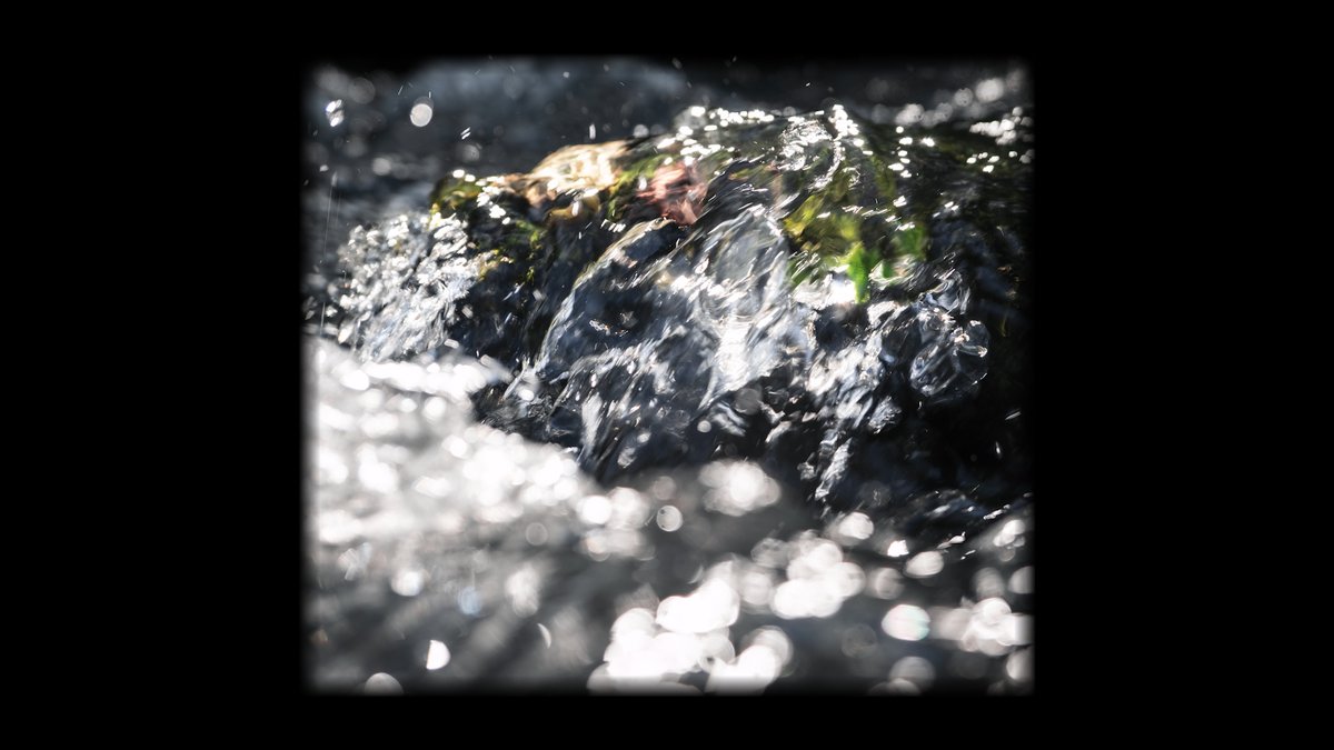 Maxlouvo's tweet photo. Granules.   (1)

#photography 
#photooftheday https://t.co/0ay3pGhHFN