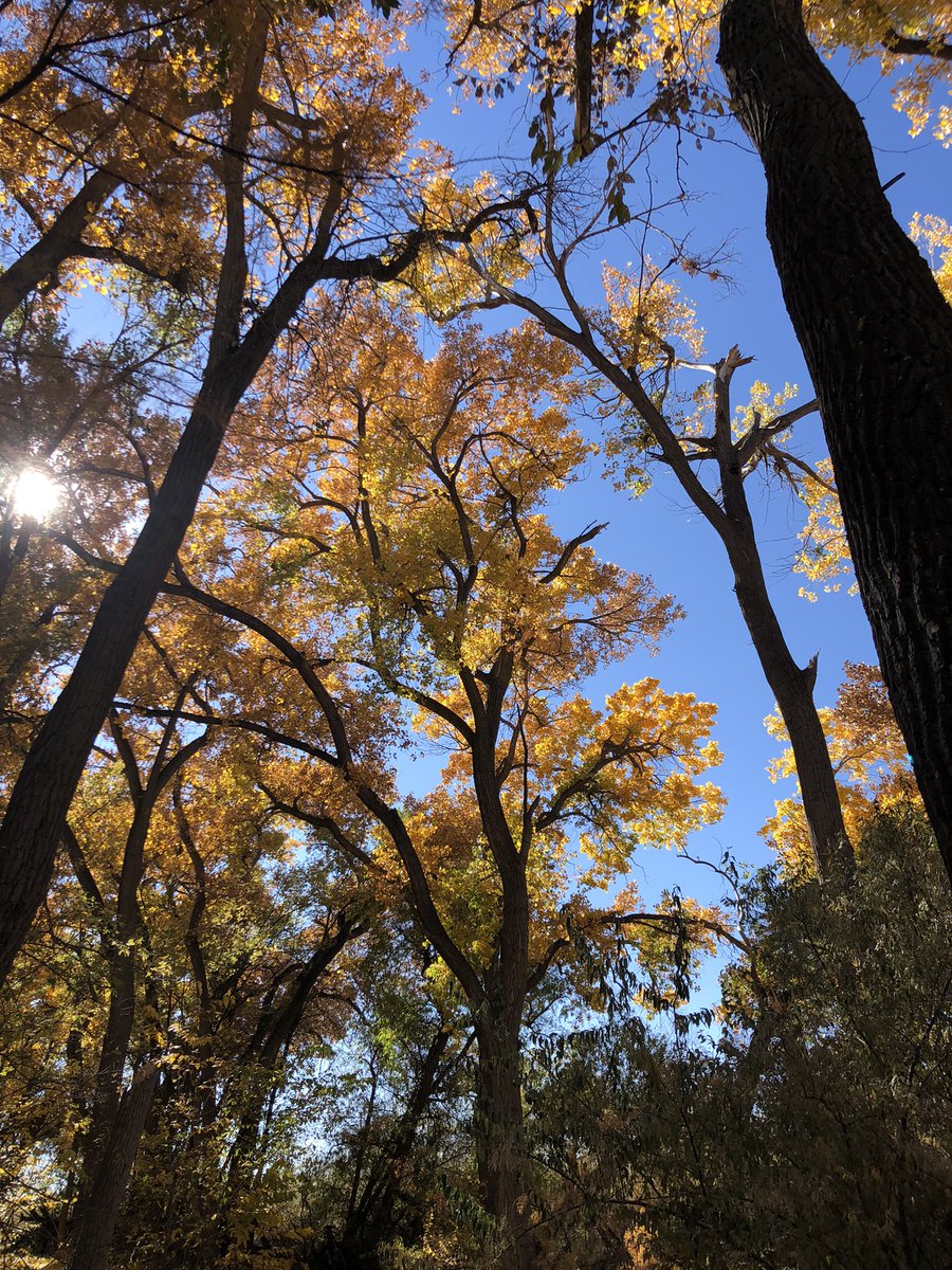 Chad Wilhite tweet media