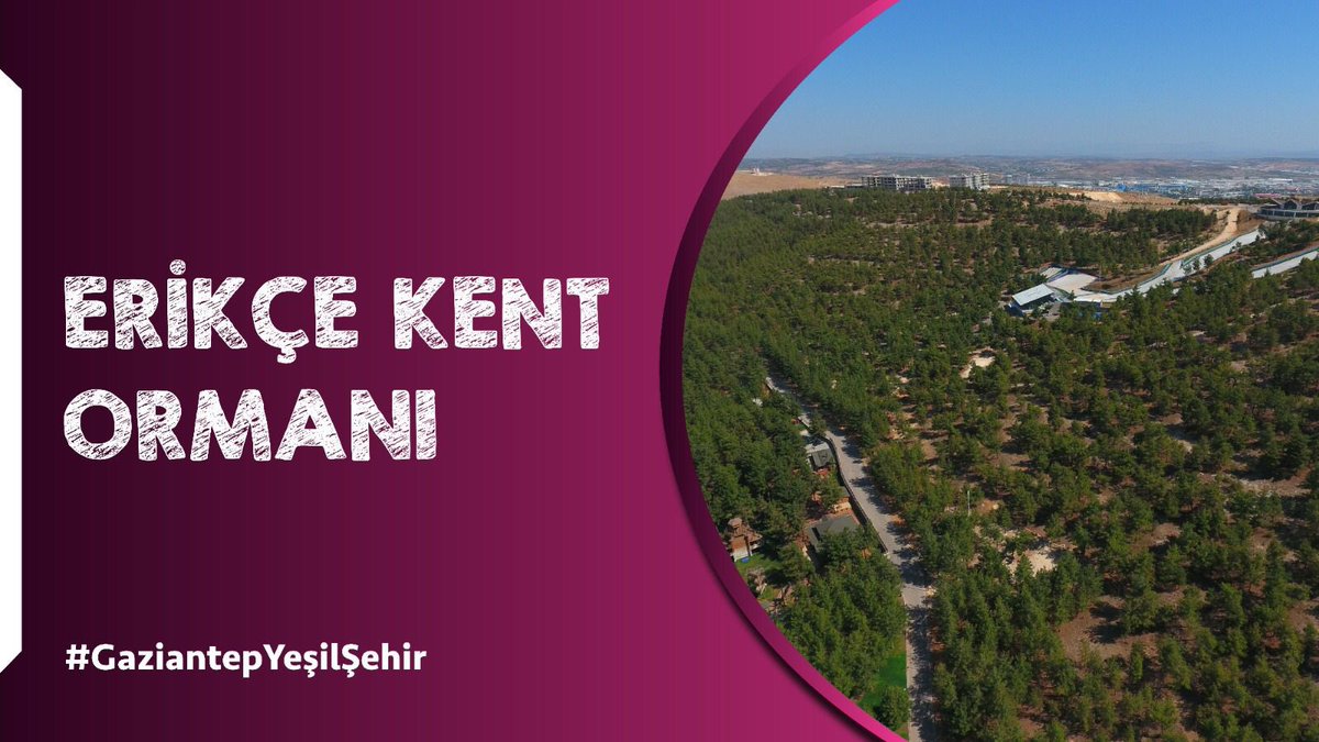 Eskinibrahim04's tweet photo. Yeşil en çok sana yakışıyor Gaziantep. #GaziantepYeşilŞehri @FatmaSahin @FatmaSahinFann @mesutbozatli @avmustafakapln @OzkanAlpaslan1 https://t.co/JA9Yq2xCuX