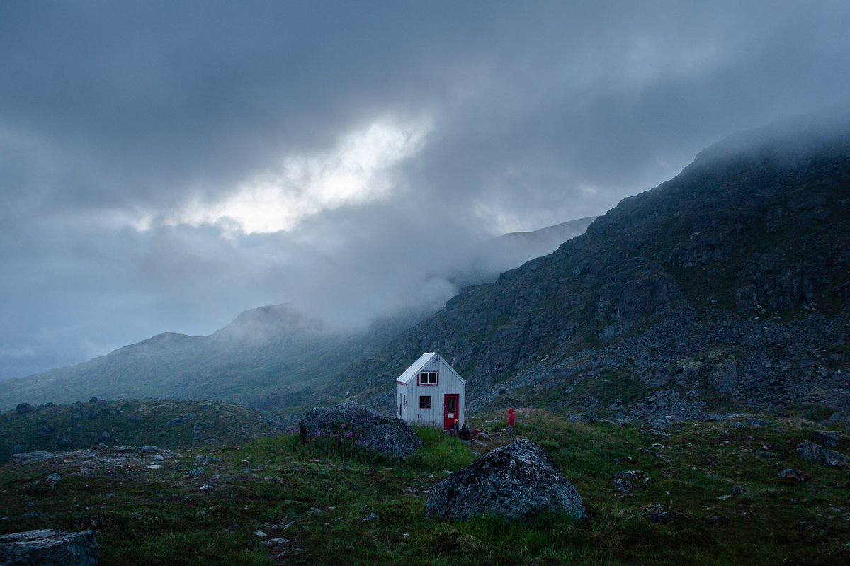 Elliot Hawkey tweet media