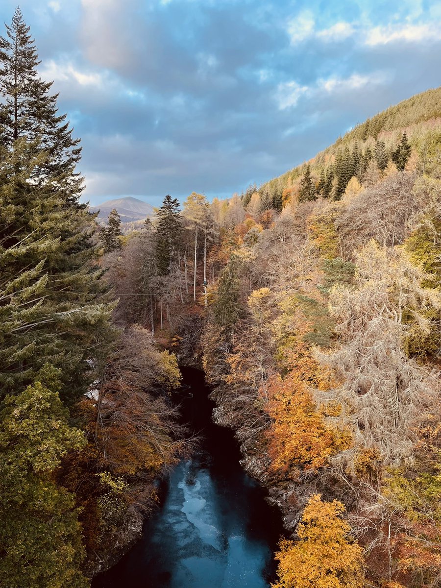 Priscila Renwick tweet media