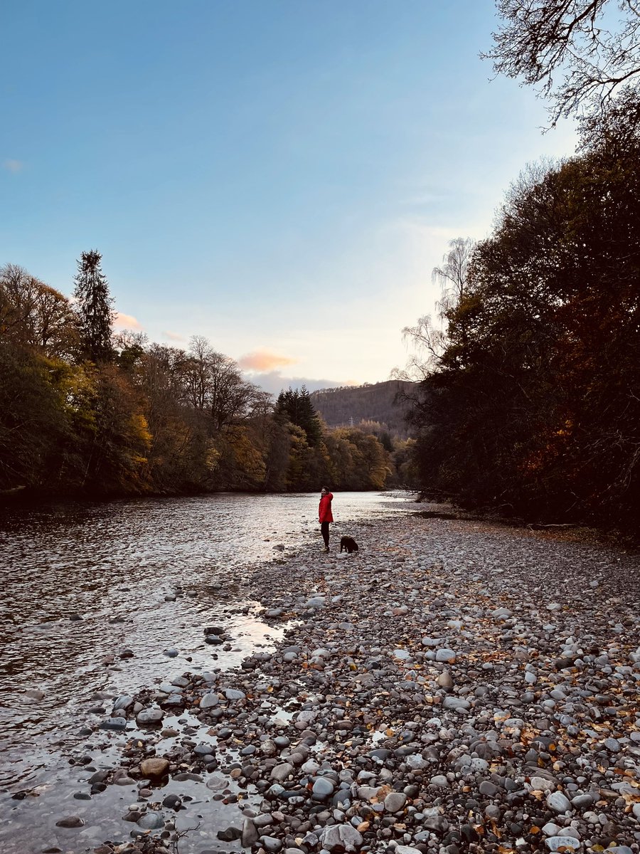 Priscila Renwick tweet media