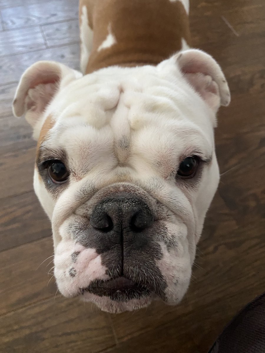 Wrigleysowner's tweet photo. https://t.co/5cpOzEVtMz