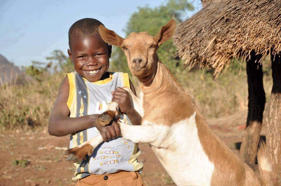 AfricanSafaris's tweet photo. So much happiness in one photo.  You might feel worthless to one person but priceless to someone else. 🥰

#friendsforever #friends #friendshipquotes #friendship https://t.co/JeQmAtpgJf