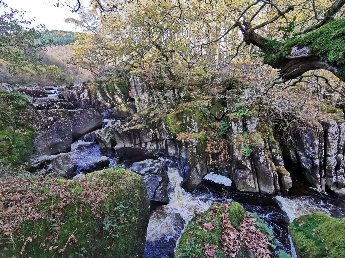 VISIT WALESS tweet media