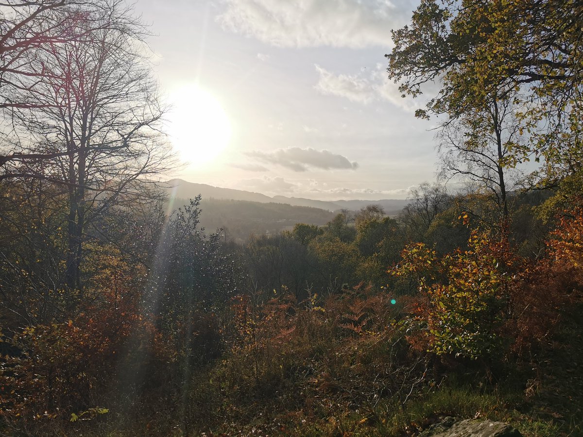 VISIT WALESS tweet media