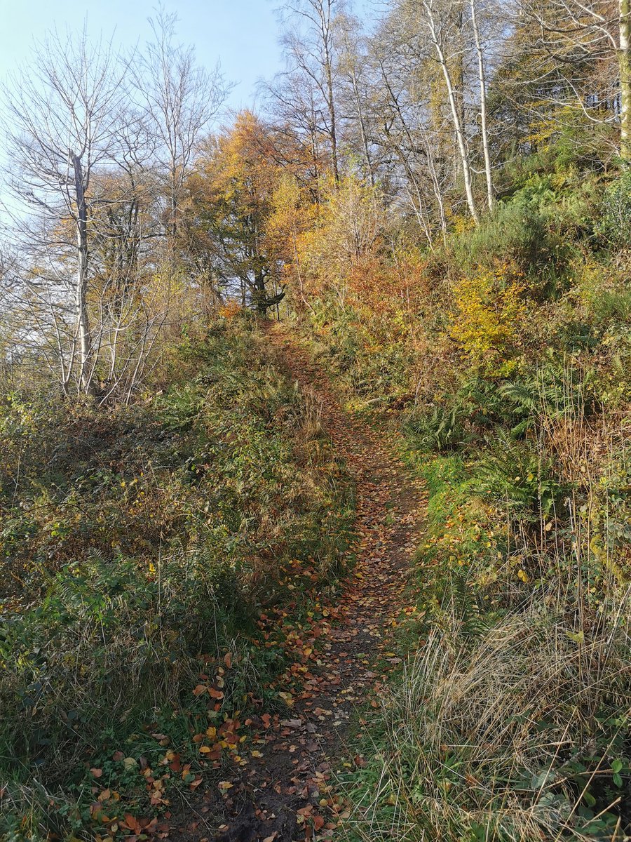 VISIT WALESS tweet media