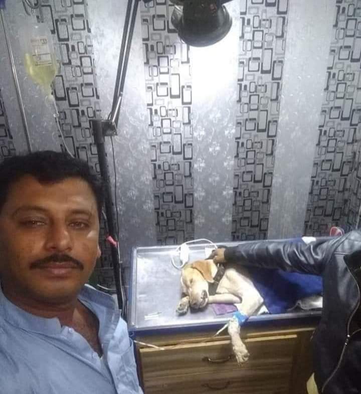 مان فطرت جو پڄاري آهيان
هنن جيڪي منهنجي جسم تي جهير ڏنا اهي مونکان وڌيڪ فطرت جي سونهن کي زخمي ڪندا رهيا ،
مون ۾ پکي ساهه کڻن ٿا مان انهن جي پيار امين آهيان 
اري وسري ويم مونکي انهن ان وقت ماري 
وڌو جڏهن انهن ڌارين جي گولي پکين جي روح کي زخمي ڪيو 
مان ان وقت مري چڪو هئس
ز ن