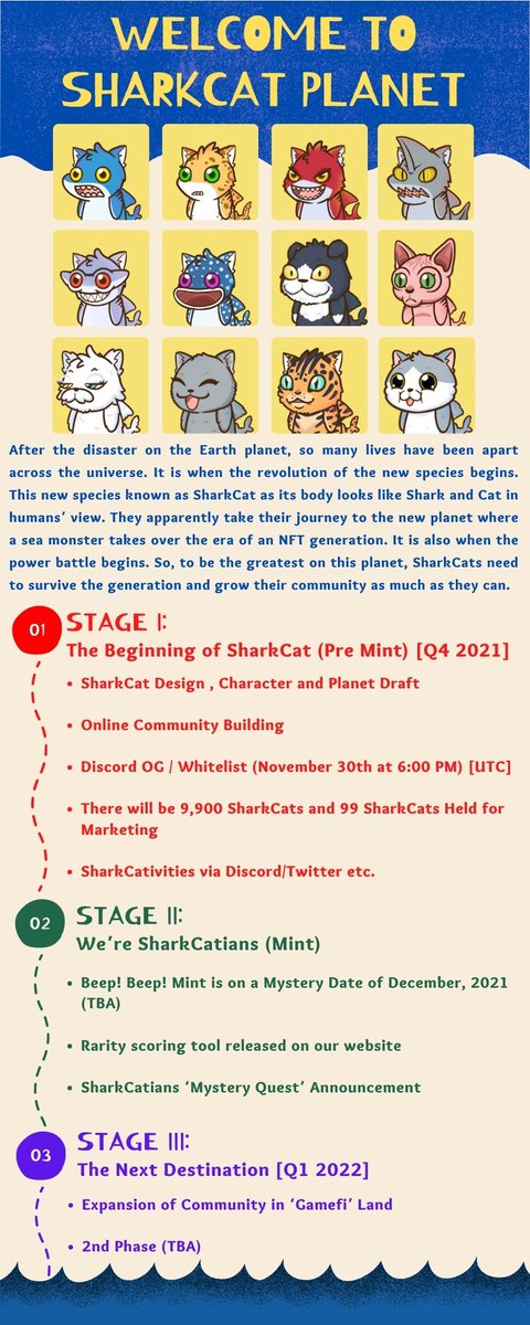 SharkCat Planet tweet media