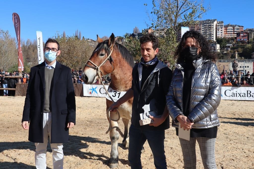 alexrqcat's tweet photo. Aquest any sí ! 🐴 Fira de @puigcerda_cat i 40è Concurs de Cavalls.
També memorial Torrent Massip - Commemoració del Tractat dels Pirineus.
#Fira #FiraDePuigcerdà #FiraDesDe1270 #Cavalls #horse #FiraMultisectorial #work https://t.co/y1BD6QGw89