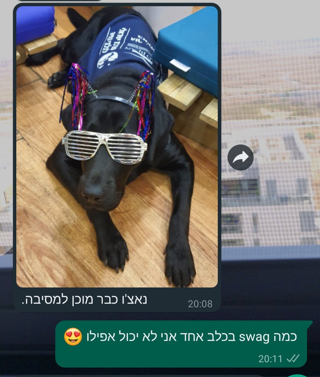 Dichotomious's tweet photo. להלן: https://t.co/qOVgBrYbr8