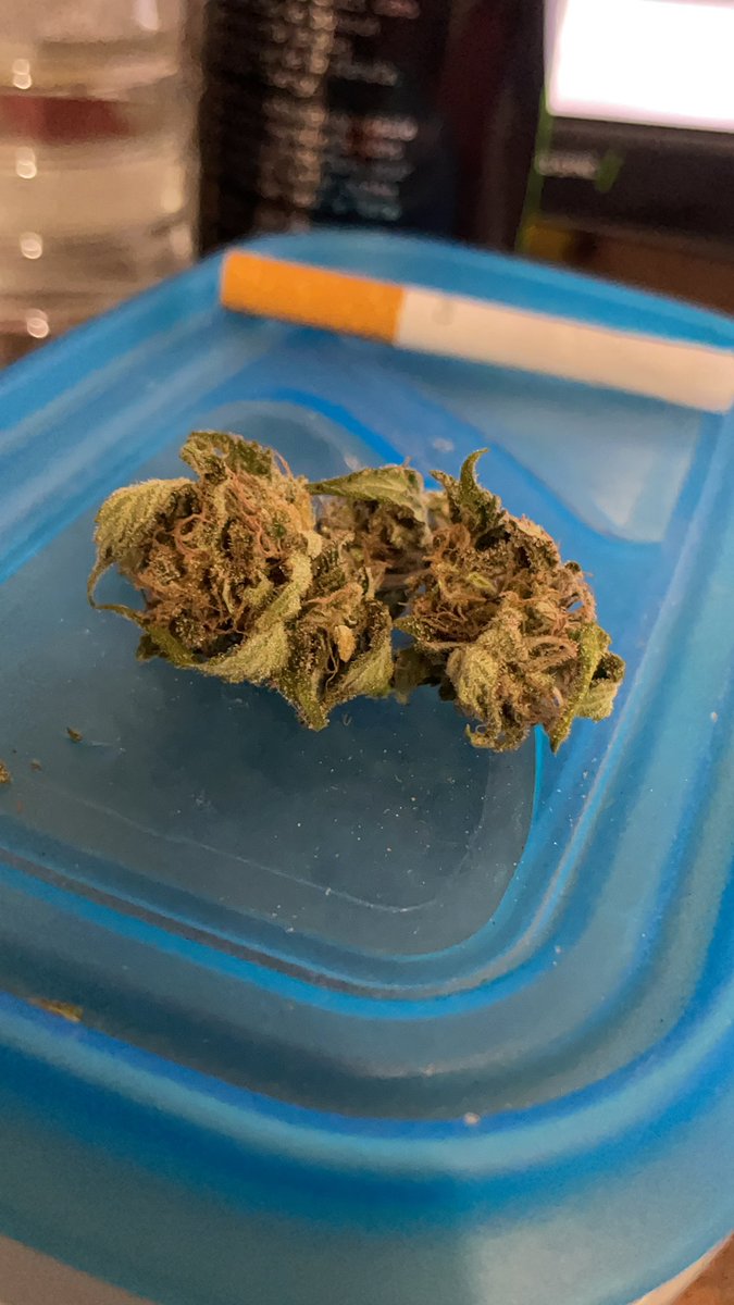 valentinroux11's tweet photo. @vizurantvis Northern lights x haze 🥴 https://t.co/epZ5MGwyTQ