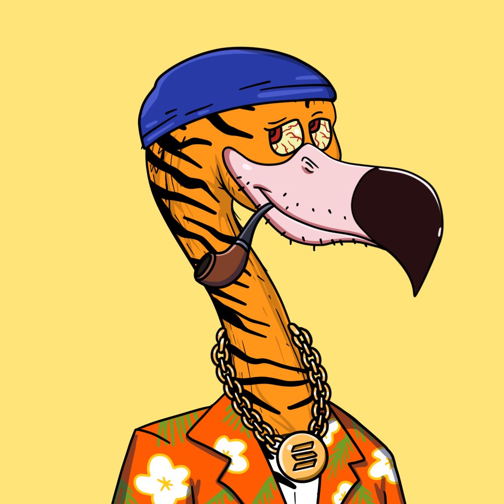 Flash_Mingo | Flashy Flamingos tweet media