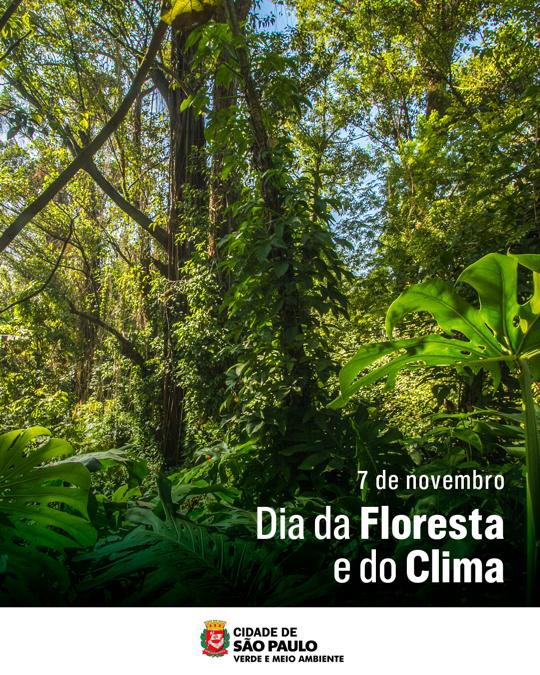 svmasp's tweet photo. Hoje é comemorado o Dia da Floresta e do Clima!
Não só neste dia, mas como em todos, vamos contribuir com a saúde do planeta e, consequentemente, com a nossa!
#diadaflorestaedoclima #floresta #clima #svma #meioambiente #natureza #meioambienteagradece #instasp #saopaulo https://t.co/kxVwtZqH2n