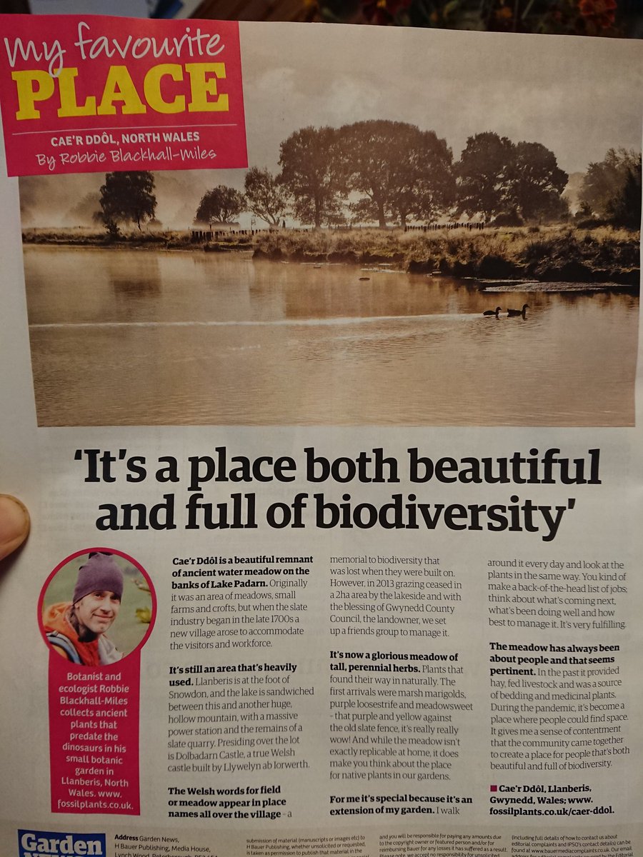 A huge thanks to <a href="/GardenNewsmag/">Garden News</a> (and in particular <a href="/NaomiSlade/">Naomi Slade</a> - for our wonderful conversation) for allowing me to share my love for <a href="/EinCaerDdol/">Ein Cae'r Ddôl</a> #watermeadow here in #Llanberis #NorthWales in this week's issue.