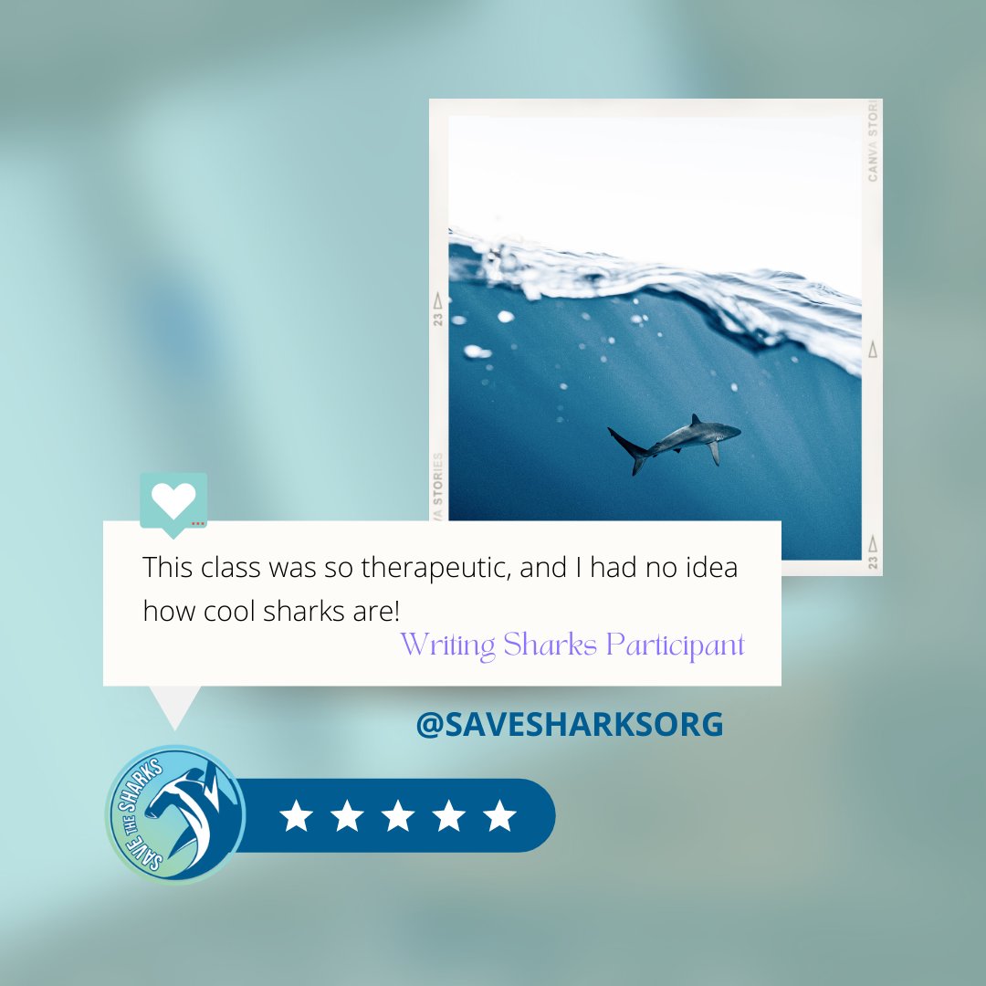 AS A RESULT OF OUR #WRITINGSHARKS CLASSES, 96% OF OUR PARTICIPANTS ARE OPEN TO LEARNING MORE ABOUT SHARKS &amp; GETTING INVOLVED IN SHARK CONSERVATION 🦈

This is incredible! Our classes are important!

PLS msg us if interested in a class!

#SaveTheSharks
#SaveTheSharksSaveOurselves