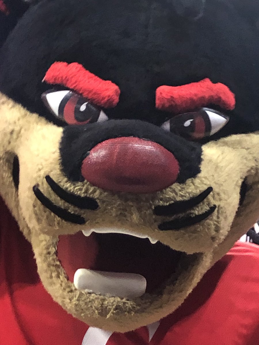CarboyKathy's tweet photo. Just spending a Sunday supporting one of our own! Go Cats! #AlwaysASpartans @ths_vball @JulieWittekind https://t.co/YvvqlcF8Ia