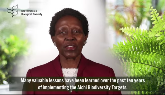 🗣️"We must ensure that we draw from these lessons as we move forward in facilitating systemic shifts towards climate and nature-positive solutions."🌿

- Executive Director for <a href="/UNBiodiversity/">UN Biodiversity</a> <a href="/mremae/">Elizabeth M. Mrema</a> 
#GLFClimate #ThinkLandscape